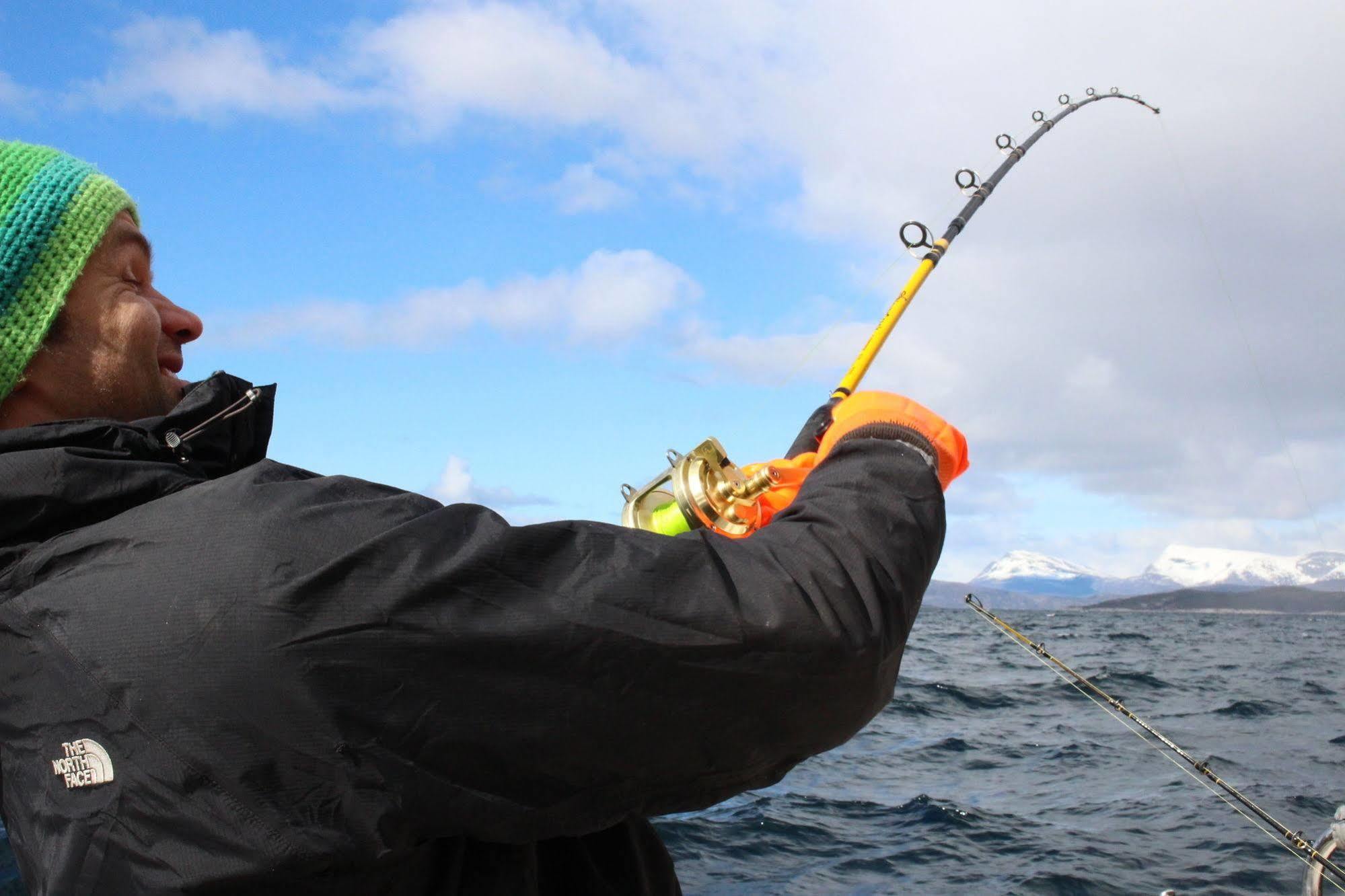 Tysfjord Hotel Storjord I Tysfjord Екстериор снимка